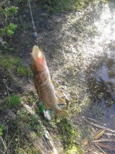20170430_081711.jpg