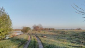 IMG_20170430_061138.jpg