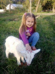 IMG_20170430_185934.jpg
