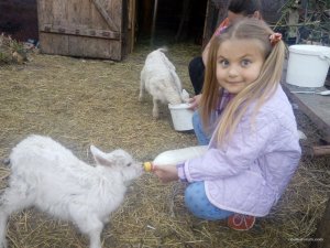 IMG_20170430_194744.jpg