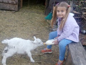 IMG_20170430_195114.jpg