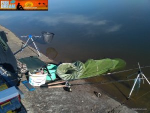 FishDream_competition  (21).jpg
