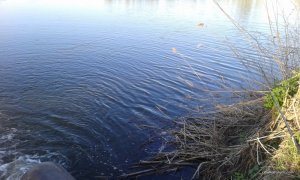 2017-04-29 19-02-17.JPG