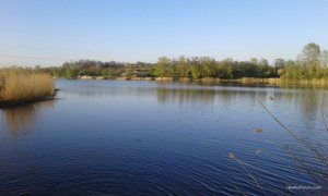 2017-04-29 19-02-23.JPG