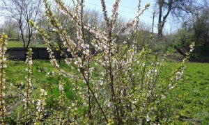 2017-04-29 13-40-54.JPG