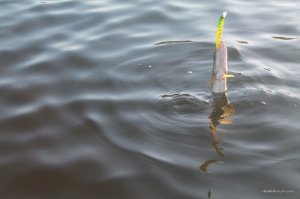 IMG_6362.JPG