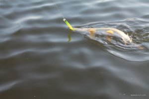 IMG_6363.JPG