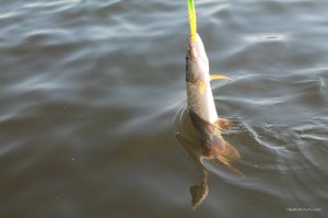 IMG_6365.JPG
