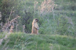 IMG_6382.JPG