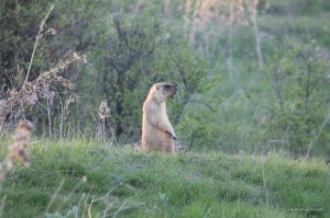 IMG_6383.JPG