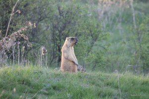 IMG_6386.JPG