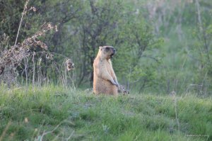 IMG_6388.JPG