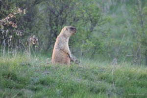 IMG_6392.JPG