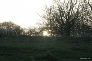 IMG_6393.JPG