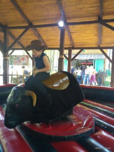 IMG_20170501_151703.jpg