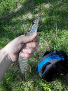 IMG_20170501_140906.jpg
