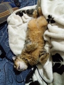 20170127_234641.jpg