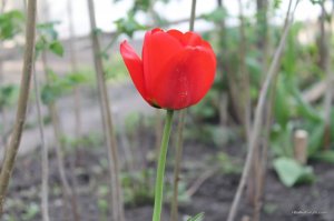 IMG_6418.JPG