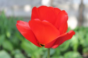 IMG_6421.JPG