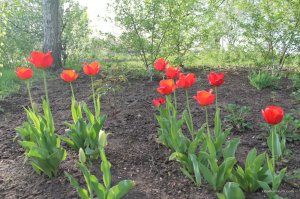 IMG_6428.JPG
