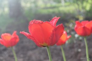 IMG_6430.JPG