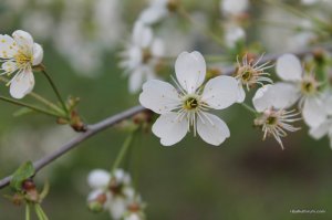 IMG_6446.JPG