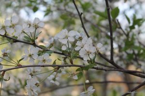 IMG_6448.JPG