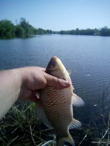 IMG_20170503_093704.jpg