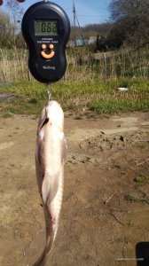 IMG_20170501_091914.jpg