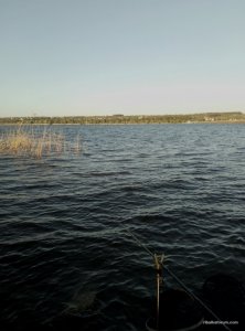 P70504-190218.jpg