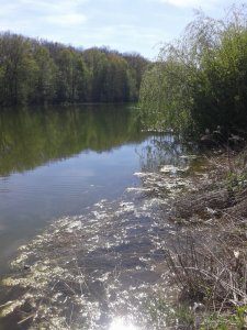 20170506_152148.jpg