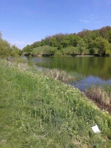 20170506_152045.jpg