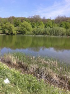 20170506_152050.jpg