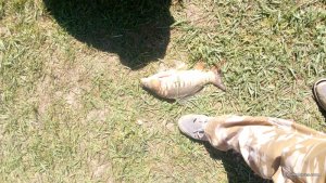 IMG_20170506_105440.jpg