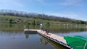 IMG_20170506_104644.jpg