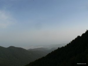 P1280317.JPG