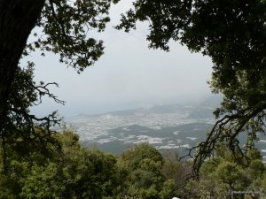 P1280340.JPG