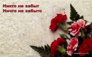 orig_332f60a7cd1616ffcfab0c501c820e6c.jpg