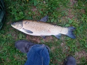 IMG_20170507_194935.jpg