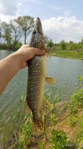 20170508_151954.jpg