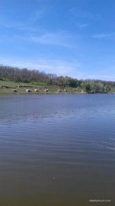 20170506_110509.jpg