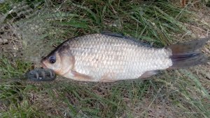 IMG_20170507_141859.jpg