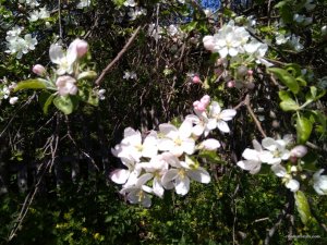 IMG_20170506_132039.jpg