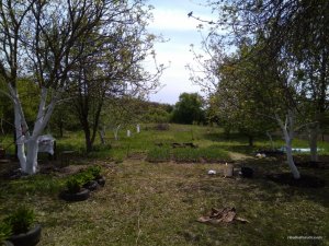 IMG_20170508_121115.jpg