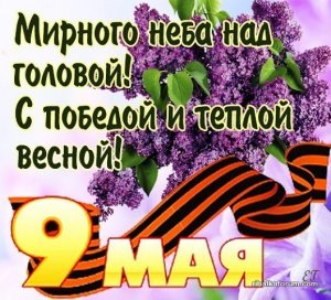 image-14.jpg