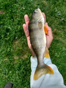 IMG_20170508_132335_HDR.jpg