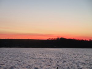 IMG_2239.JPG