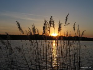 IMG_2246.JPG
