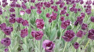 20170507_195400.jpg