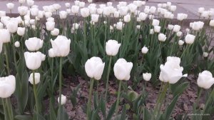 20170507_195440.jpg